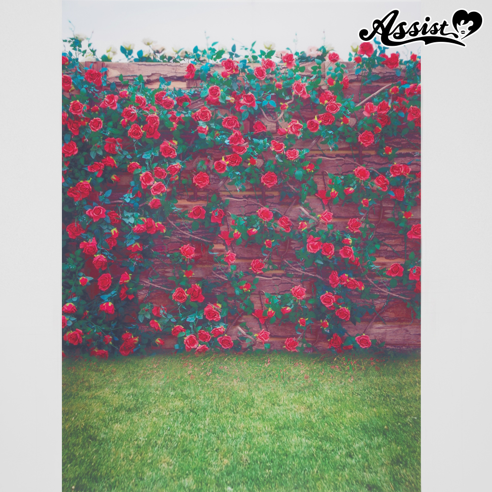 ★ Anniversary Sale ★ Background cloth rose garden type 1