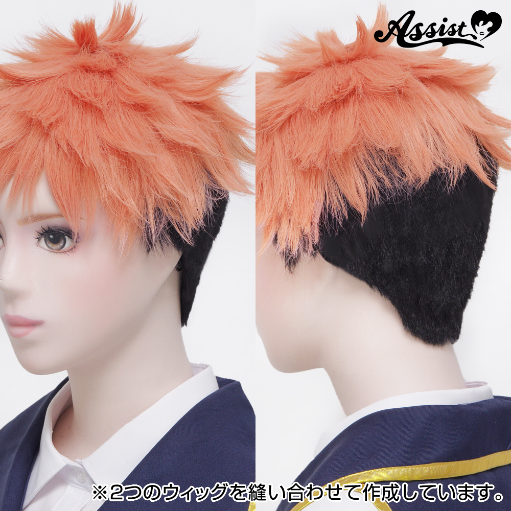 Cool Wig Net Long Hair Type - Cosplay wig general specialty store Assist  Wig ONLINE SHOP