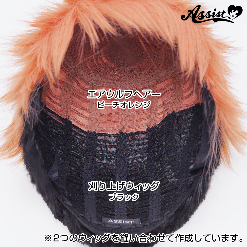 Cool Wig Net Long Hair Type - Cosplay wig general specialty store Assist  Wig ONLINE SHOP