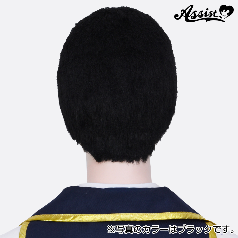 Cool Wig Net Long Hair Type - Cosplay wig general specialty store Assist  Wig ONLINE SHOP