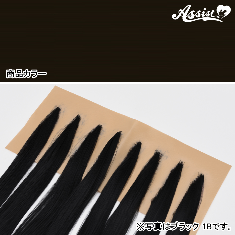 Hairline Parts Pinpoint Type　School Black NSCB-94