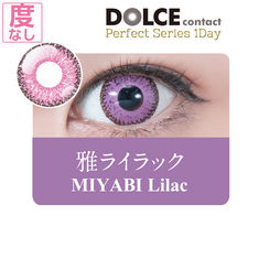 ★ 1Day ★ DOLCE Perfect Series 1Day　MIYABI Lilac (No degree)