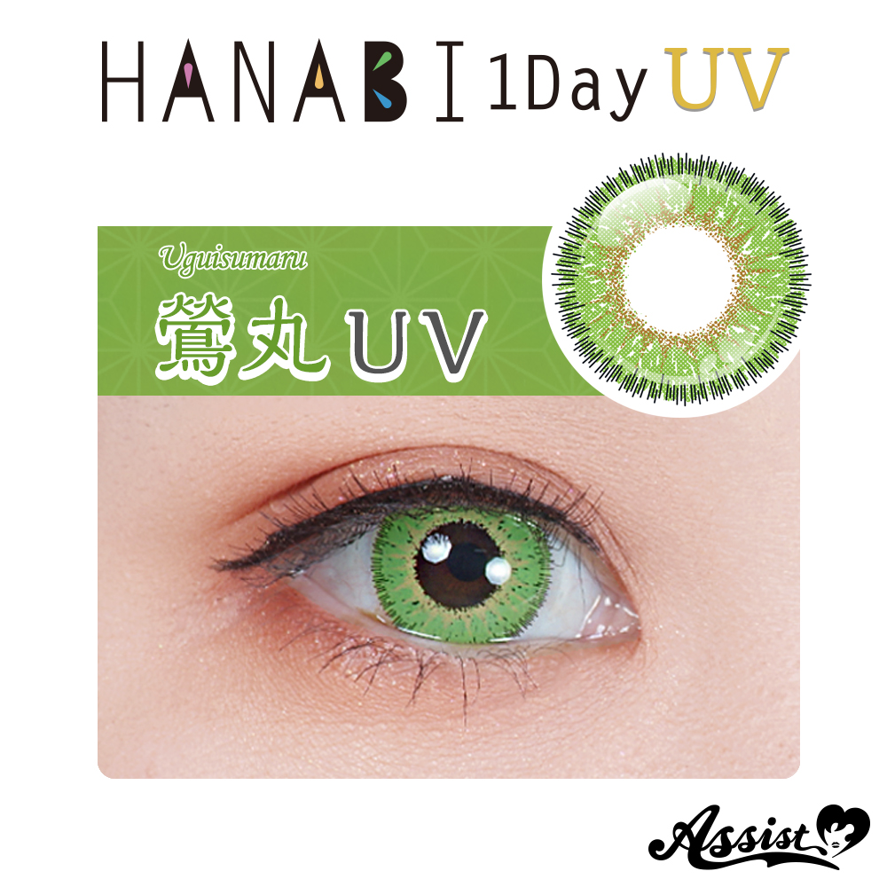 Assist ChouChou HANABI 1Day [UV]  6 pieces per box　Uguisumaru UV