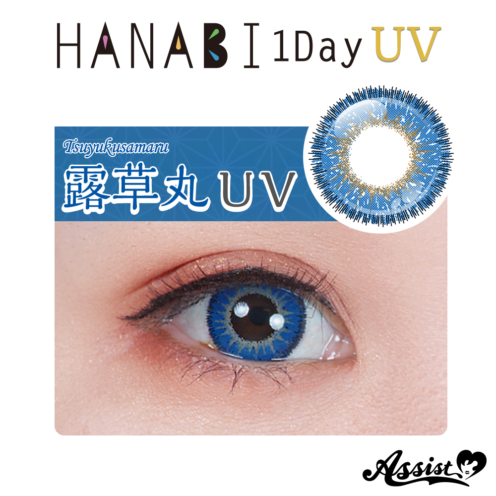 Assist ChouChou HANABI 1Day [UV]  6 pieces per box　Tsuyukusamaru UV